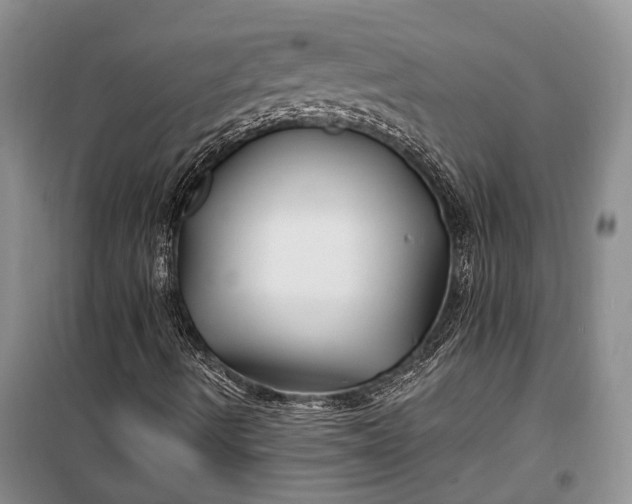 X0000100211490200806131240