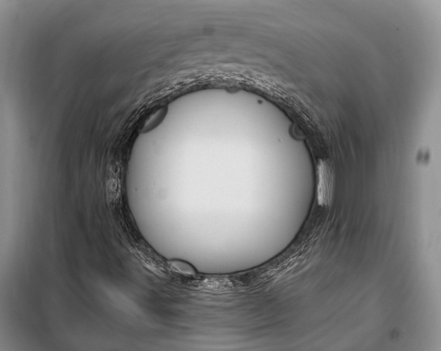 X0000100211491200806131240