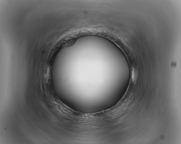 X0000100211492200806131240