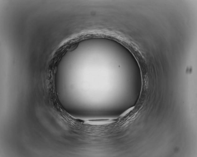 X0000100211494200806131240