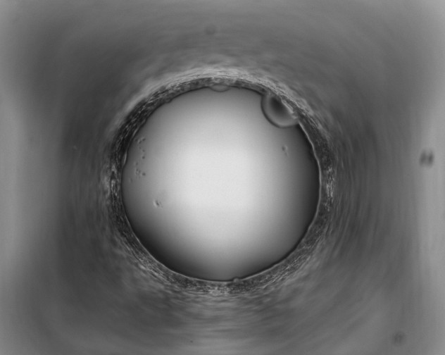 X0000100211495200806131240