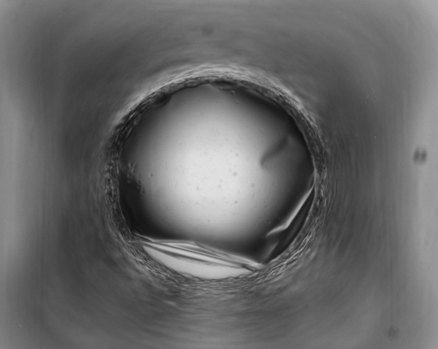 X0000100211496200806131240