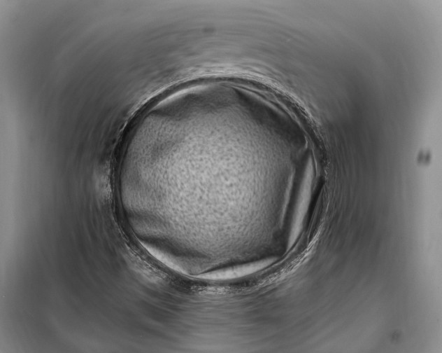 X0000100211497200806131240