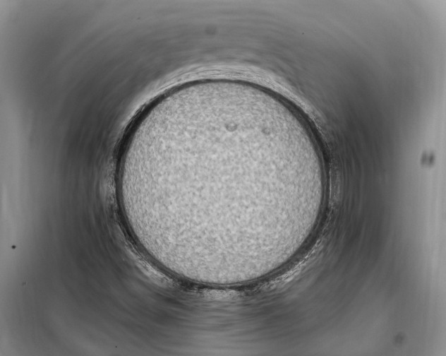 X0000100211498200806131240