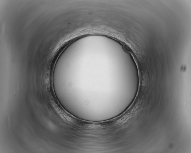 X0000100211499200806131240