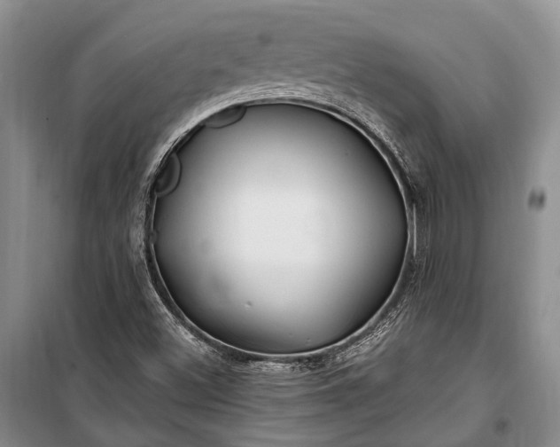 X0000100211500200806131240