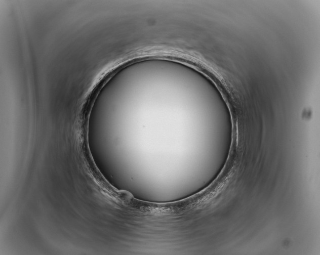 X0000100211501200806131240