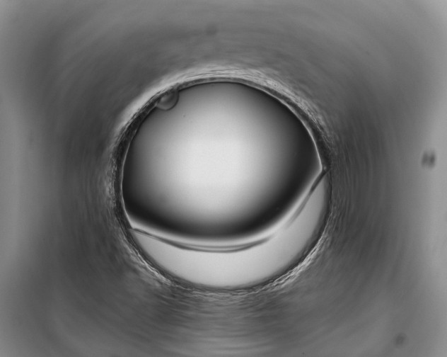 X0000100211502200806131240