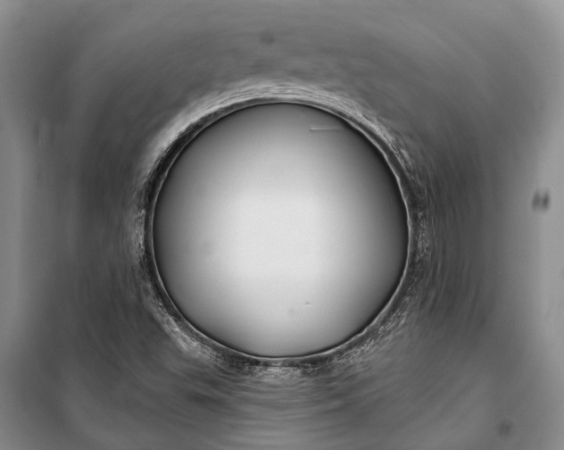 X0000100211503200806131240