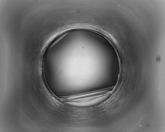 X0000100211504200806131240