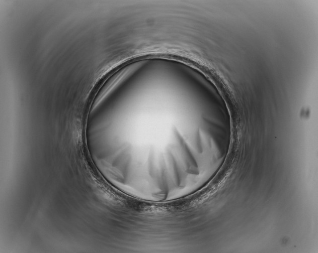 X0000100211505200806131240