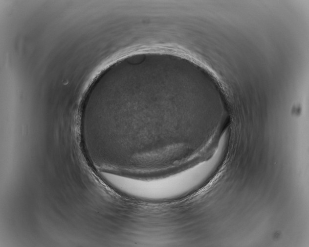 X0000100211506200806131240