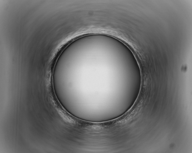 X0000100211507200806131240