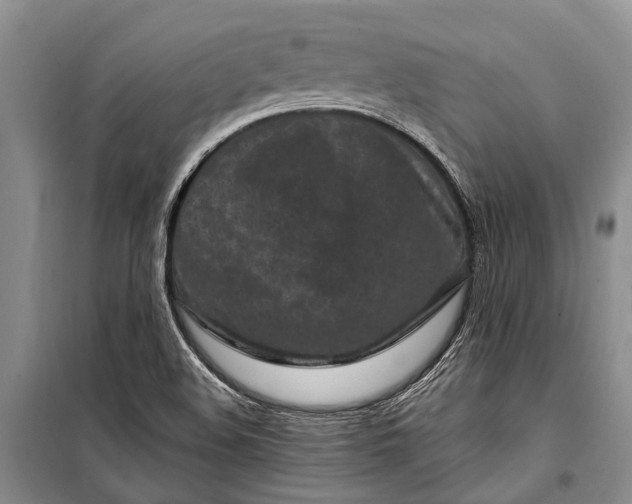 X0000100211508200806131240