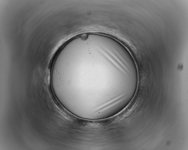 X0000100211509200806131241