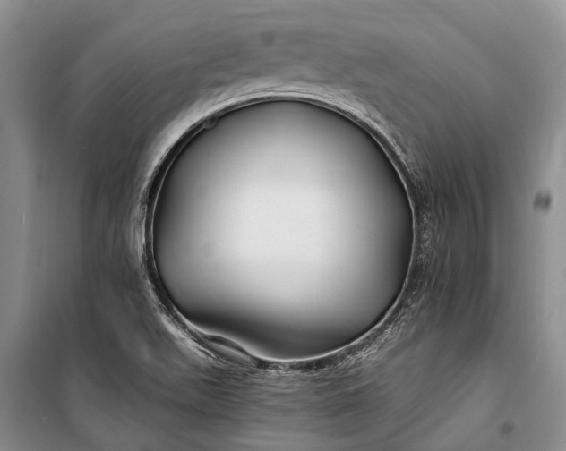 X0000100211511200806131241