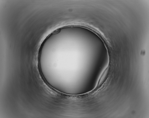 X0000100211512200806131241