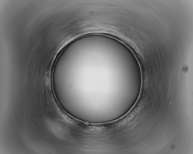 X0000100211513200806131241