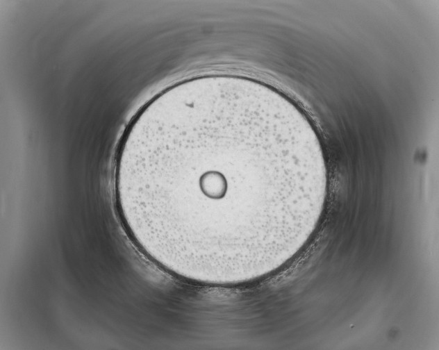 X0000100211514200806131241