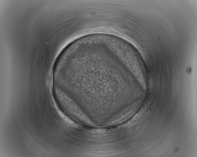 X0000100211515200806131241