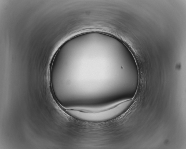 X0000100211516200806131241