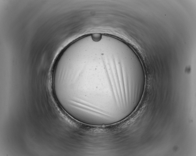 X0000100211517200806131241