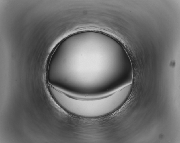 X0000100211518200806131241