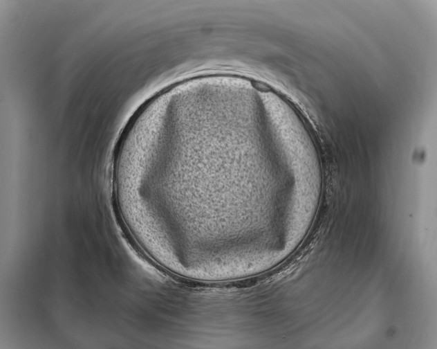 X0000100211519200806131241