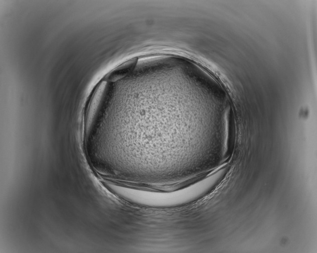 X0000100211520200806131241