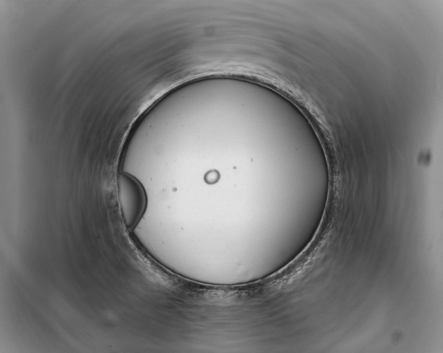 X0000100211521200806131241