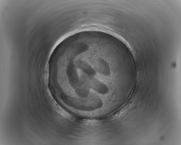 X0000100211522200806131241