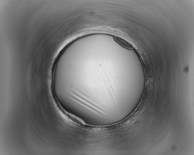 X0000100211523200806131241