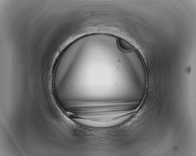 X0000100211525200806131241