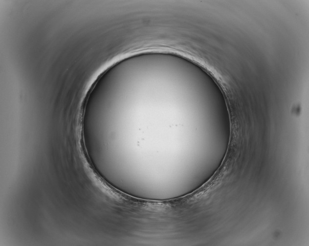 X0000100211526200806131241