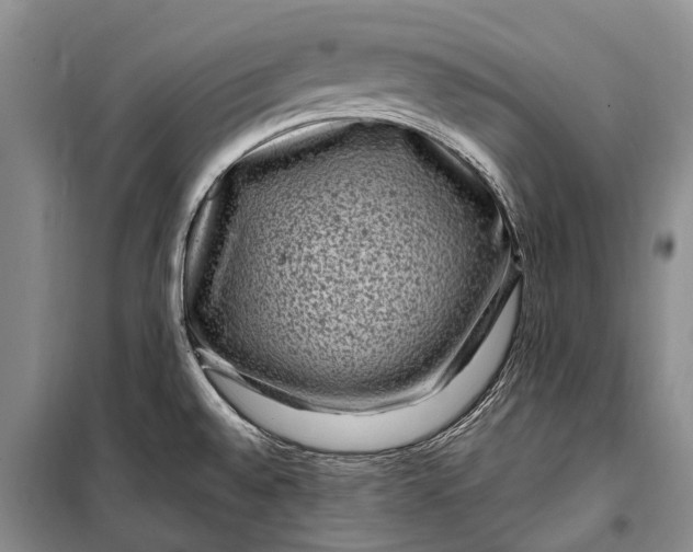 X0000100211528200806131241