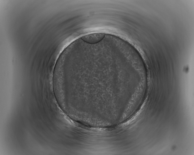 X0000100211529200806131241