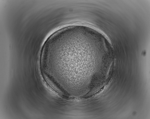 X0000100211530200806131241