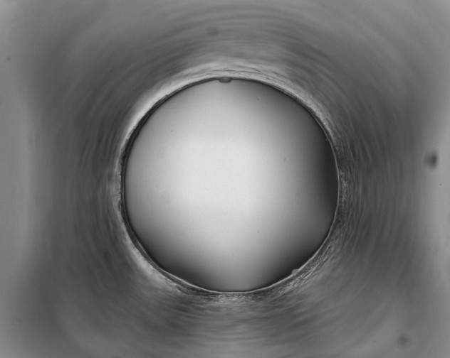 X0000100211531200806131241