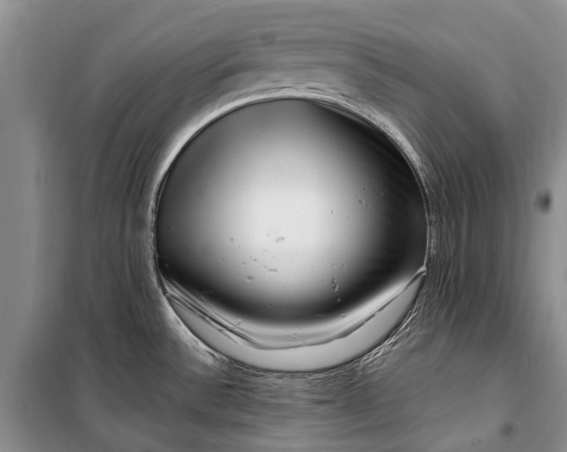 X0000100211532200806131241