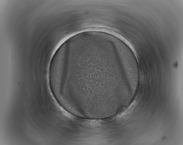 X0000100211533200806131241