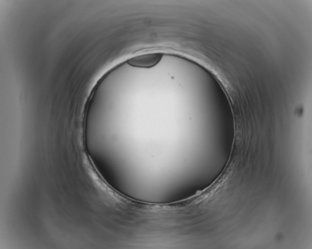 X0000100211534200806131241