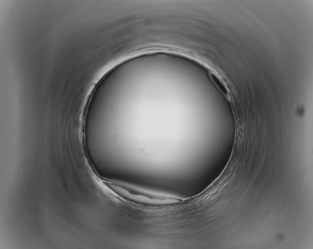 X0000100211535200806131241