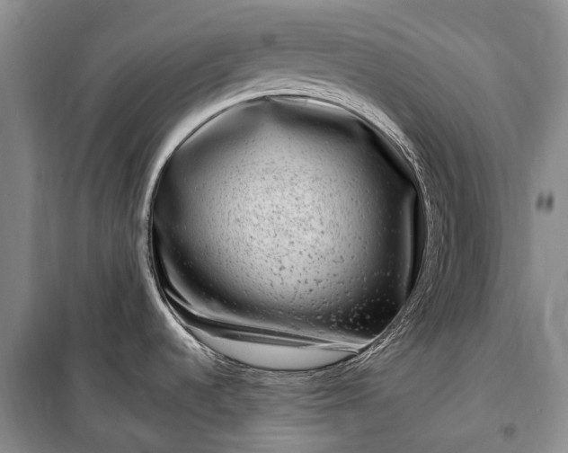 X0000100211536200806131241