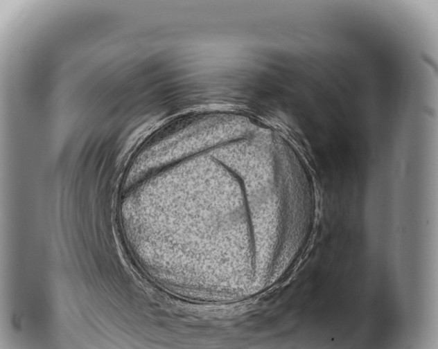 X0000100210001200806201455
