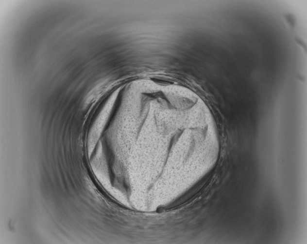 X0000100210002200806201455