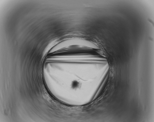 X0000100210004200806201455