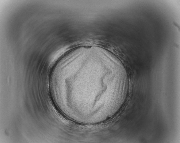 X0000100210005200806201455