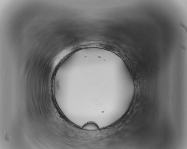 X0000100210006200806201455
