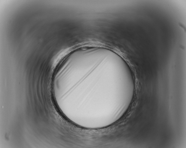 X0000100210007200806201455