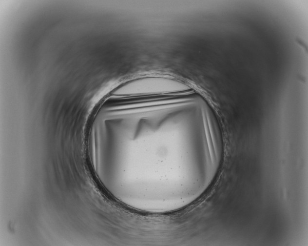 X0000100210008200806201455
